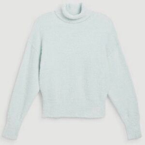 Ann Taylor M Blue Green Plush Turtleneck Long Sleeve Sweater Soft Minimal Preppy